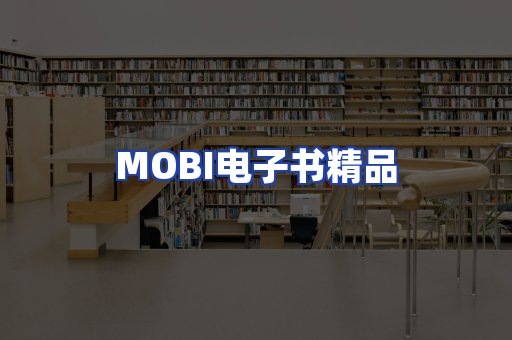 外文电子书产品